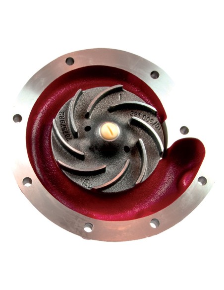 Pompa Acqua compatibile CASE 3132676R93