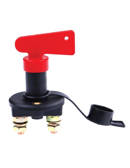 Interruttore Staccabatteria 100A Unipolare con Leva