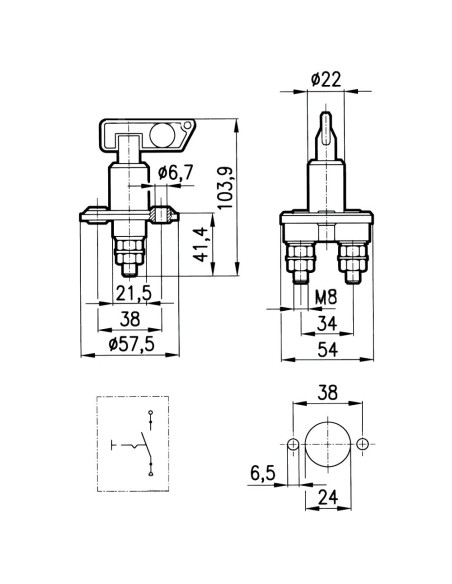 Interruttore Staccabatteria 100A Unipolare con Leva