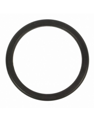 Guarnizione Filtro Nafta 4430071