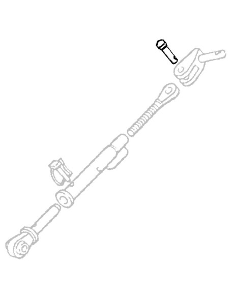 Perno per Forcella Stabilizzatore Ø20mm 5103861