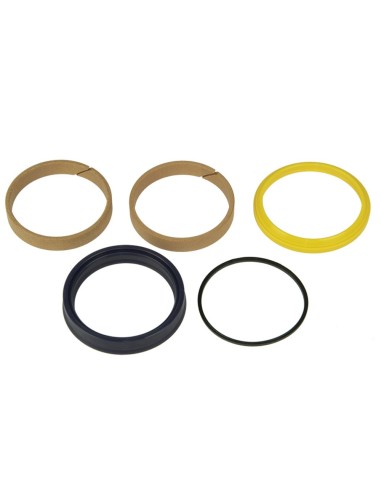 Serie Guarnizioni CILINDRI Sollevatore 5126848