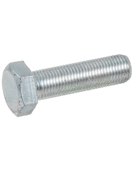 Vite Premilama 8x35 mm Motofalciatrice 31112153