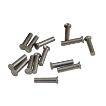 Ribattini Fissaggio Sezioni Lama 5,25x16 mm 33112534