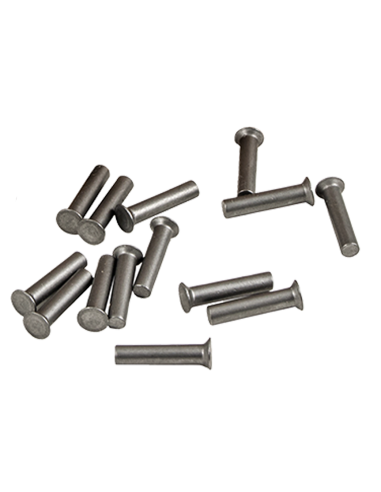 Ribattini Fissaggio Sezioni Lama 5,25x16 mm 33112534