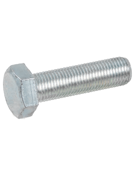 Vite 8x30 per Barra Falciante BCS DUPLEX 31112152