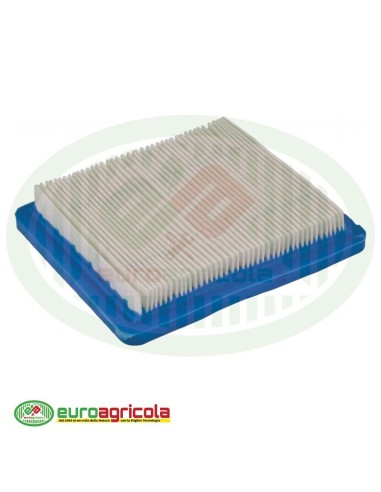 Massa Filtrante Filtro BRIGGS & STRATTON