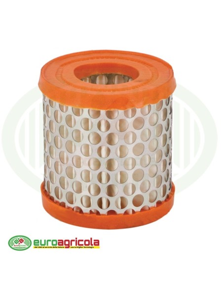 Massa Filtrante Filtro BRIGGS & STRATTON