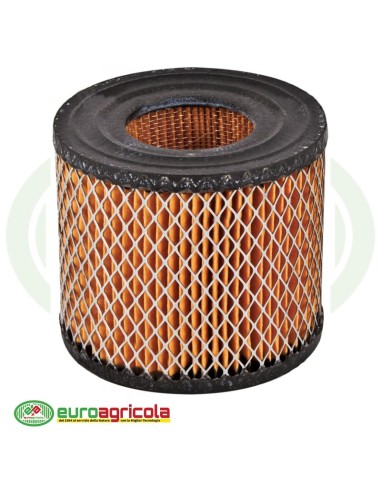 Massa Filtrante Filtro BRIGGS & STRATTON