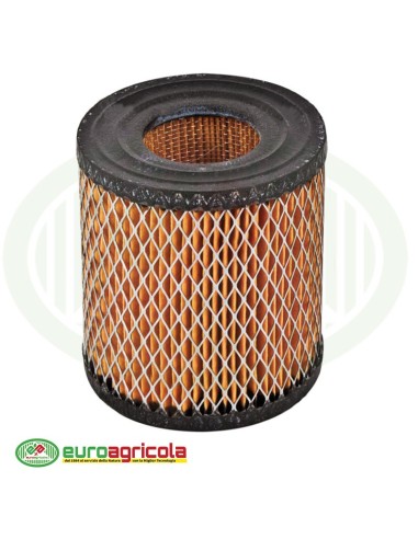 Massa Filtrante Filtro BRIGGS & STRATTON
