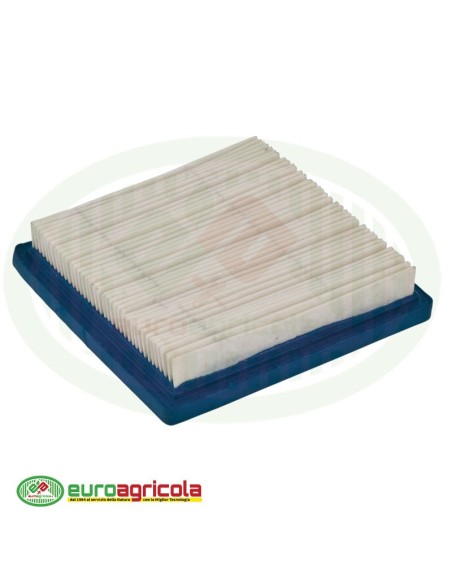 Massa Filtrante Filtro BRIGGS & STRATTON