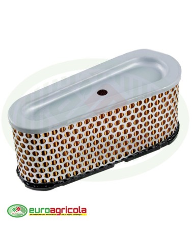 Massa Filtrante Filtro BRIGGS & STRATTON