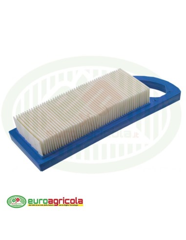 Massa Filtrante Filtro BRIGGS & STRATTON