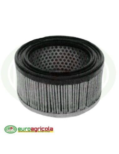 Massa Filtrante Filtro ARIA ROBIN