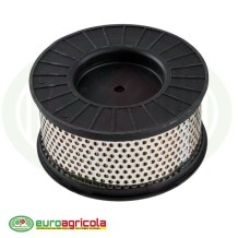 Massa Filtrante Filtro STIHL