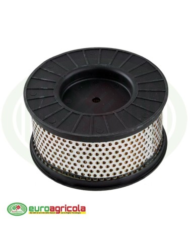 Massa Filtrante Filtro STIHL